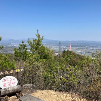天気は良いけど、白く霞んでる…