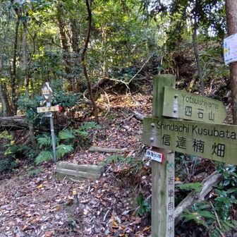 槌の子（つちのこ）峠