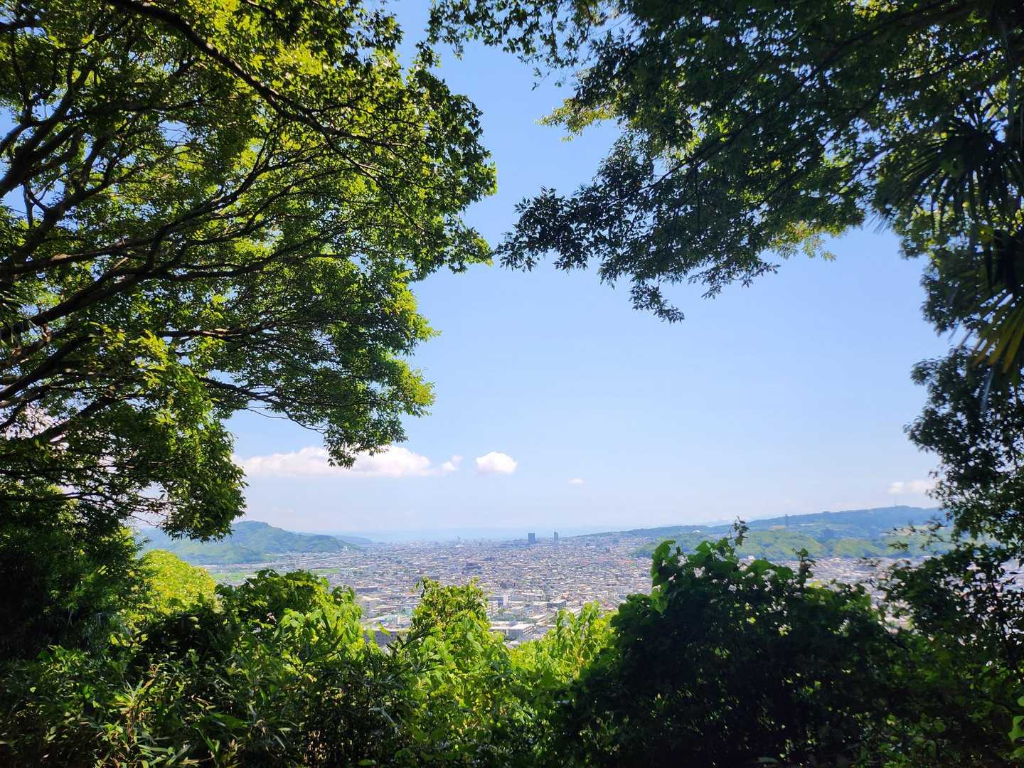 浅間神社登山口-浅間山-賤機山-茶臼山 往復コースの写真