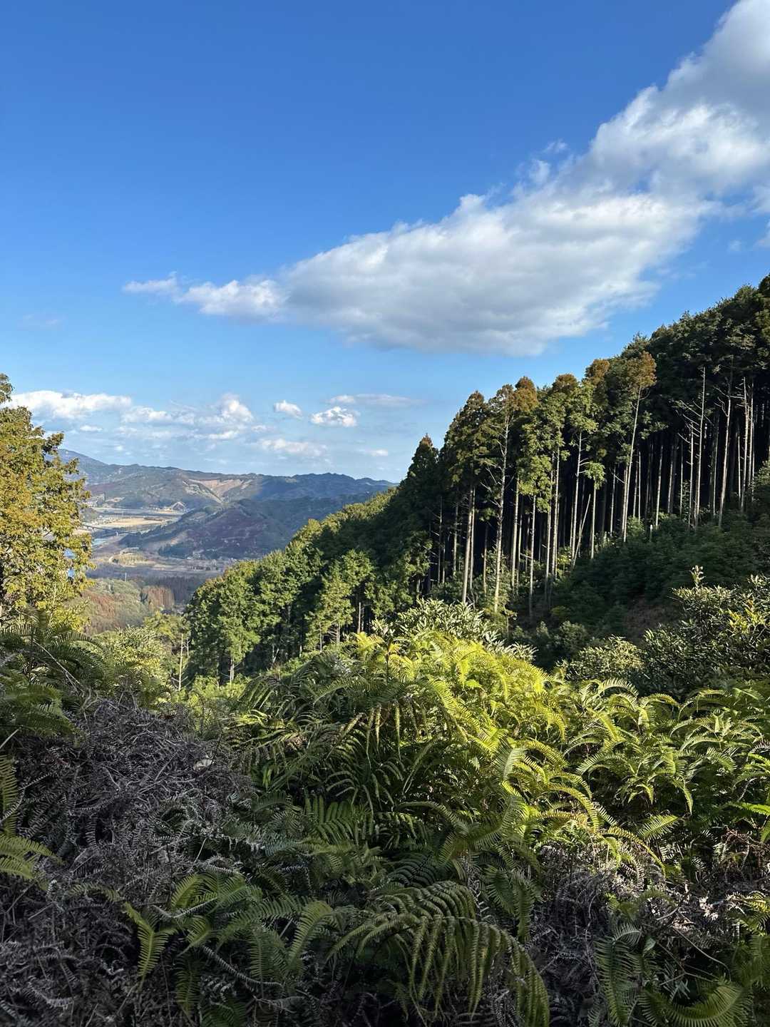 ひべら山-ザレの頭-可愛岳-烏帽子岳-可愛岳登山口 縦走コースの写真