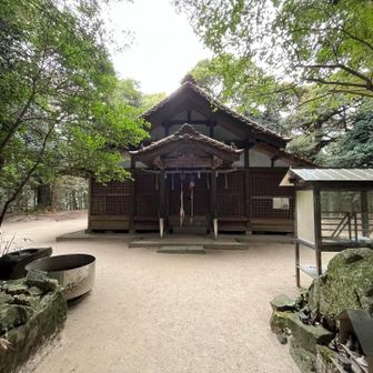 ３日は並んでいますが、今日はひっそり