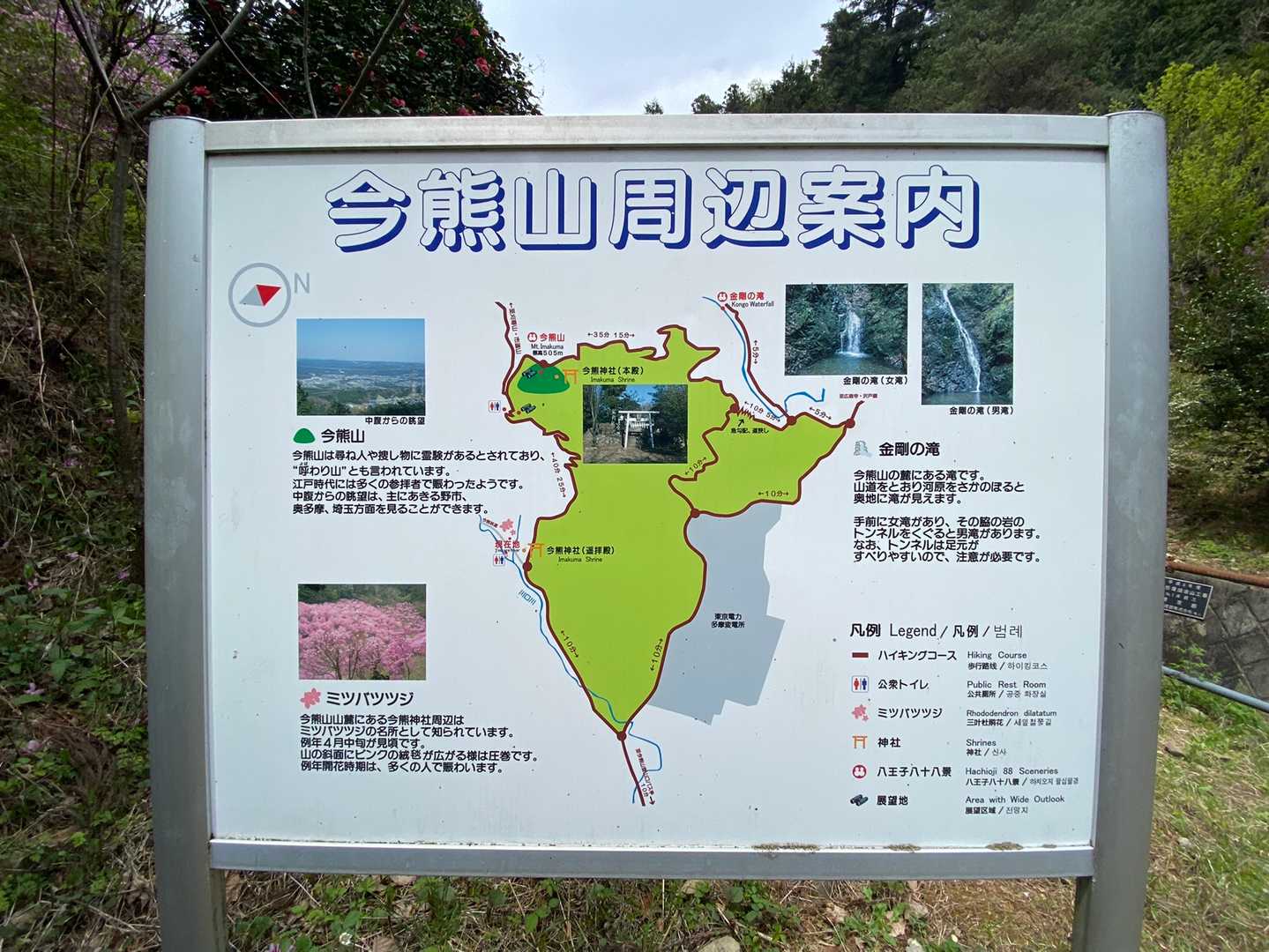 そうそう☝🏻
以前来た時、この看板を見て「ミツバツツジは4月中旬」がインプットされていた😅