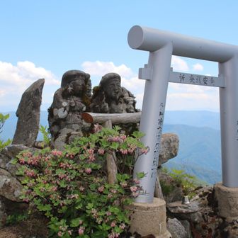 大黒様、来たよ～💪
クロマメノキの花が綺麗だね😌