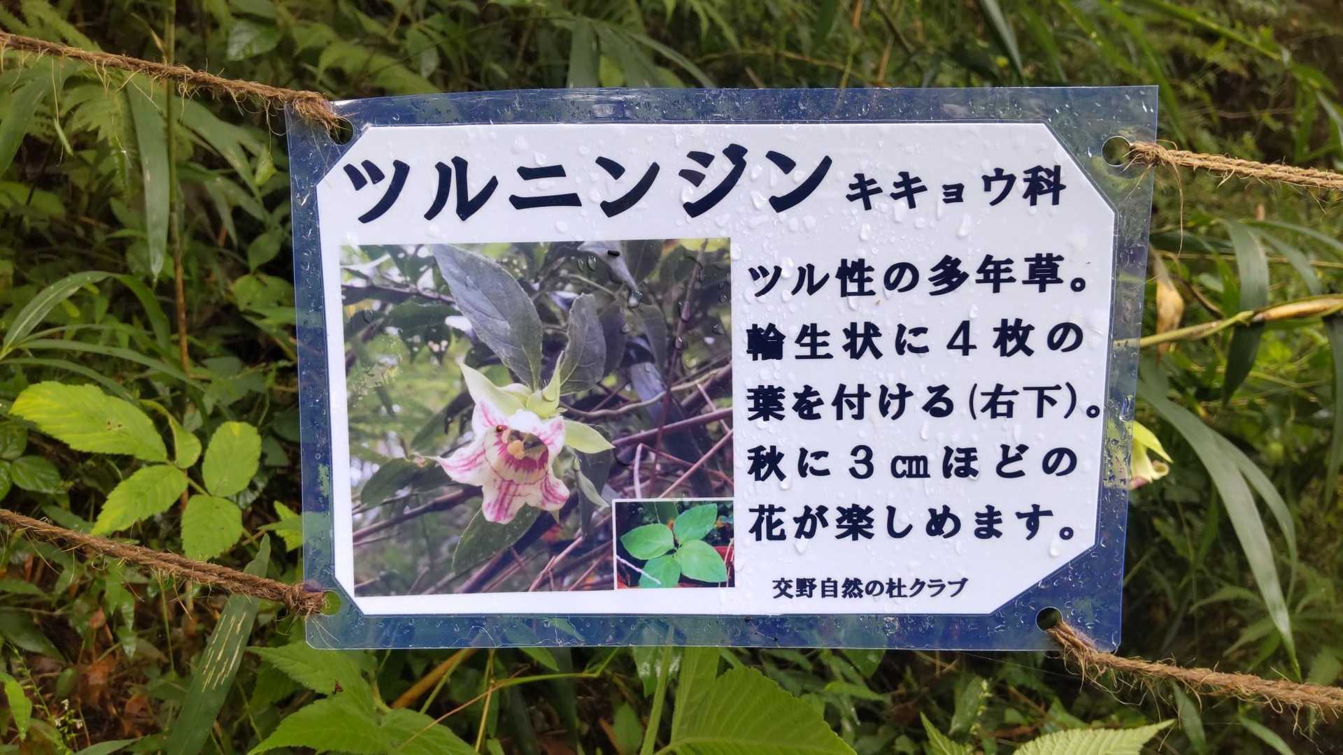 こんど見に来よう✨