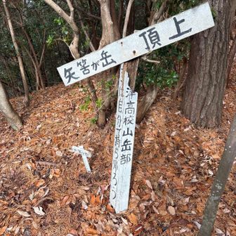 矢筈ヶ岳はちょいと急登