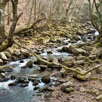 鳴子川の音にも癒される👂✨️