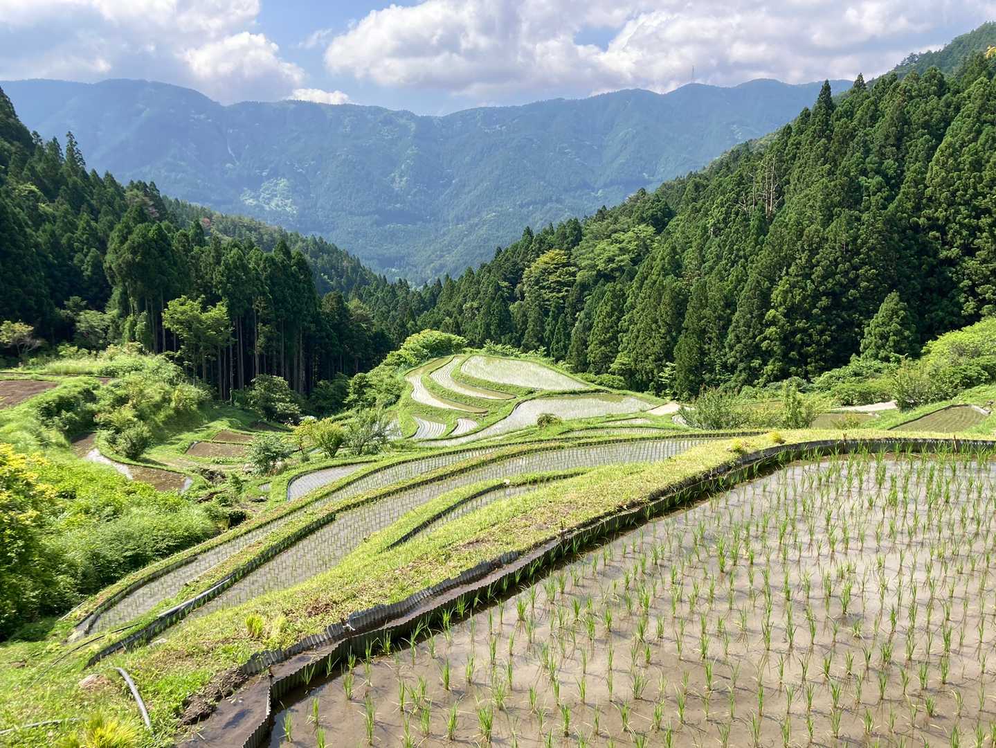 日本の棚田100選