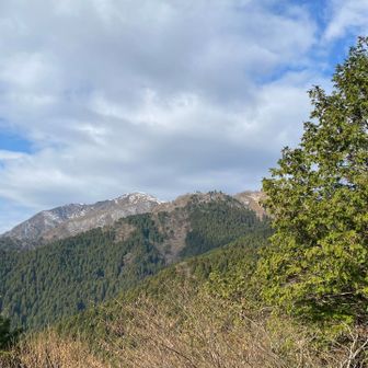 稜線に出ると、キレイな山々。
越えて越えてその次が山頂…で
合ってたかな…🙄