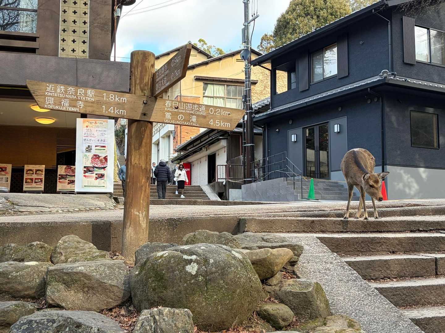 ここからは、右➡️にある登山口へ向かいます😉。