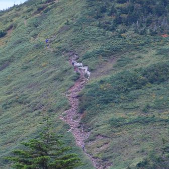 ズームすると西大巓を登る登山者が。
健脚の方が羨ましい。