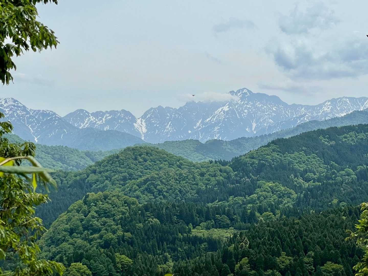 峠山までの開けた場所から
まだ見えとります😊