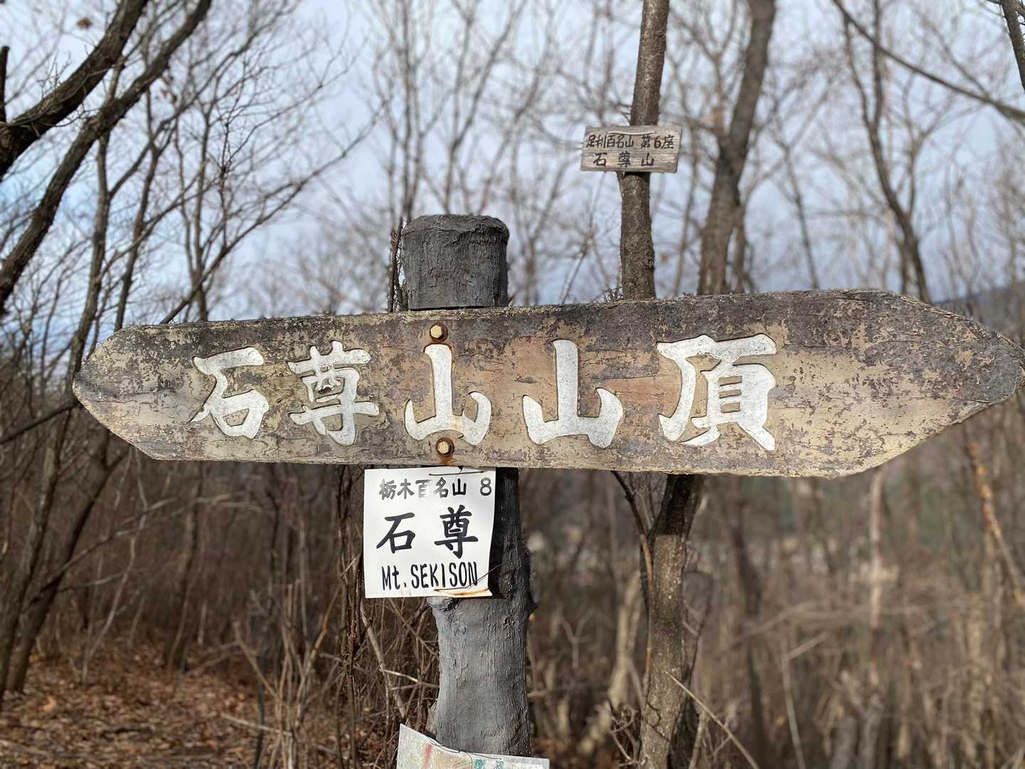 石尊山山頂到着⛰❗️
眺望はほぼなし。
深高山まで行きたかったけど、雲行きが怪しくなってきたので下山の運びへ。