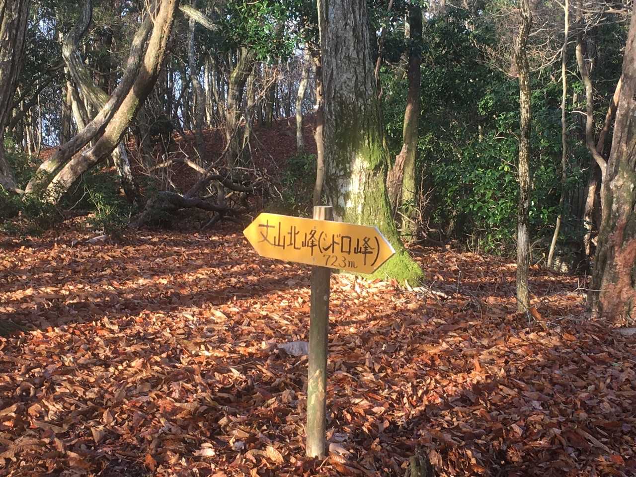 続いて2座目は丈山北峰🚩