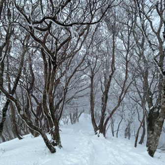 ガスってきたんで下山します