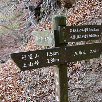 物見峠。だと思う。

確かにここでしか見れない東側の景色に萌え。笑
さてと、行きますか！大山三峰山へ。😤