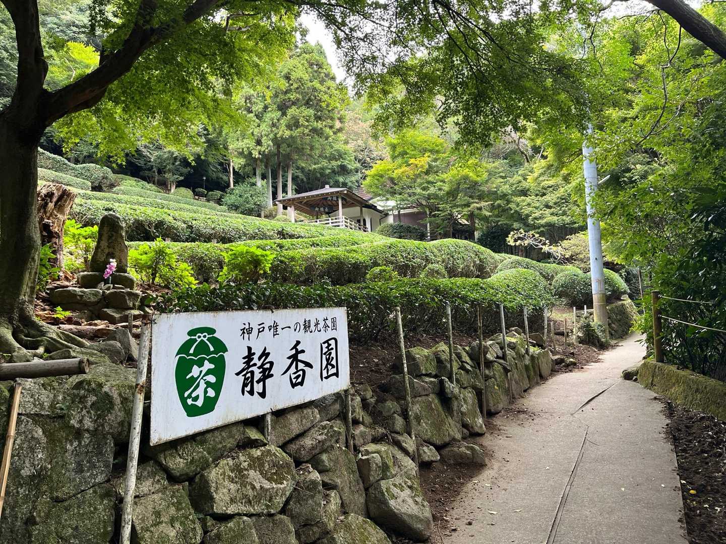 青谷道から登ります