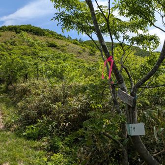 下り切ってダンゴ平
次に備えてちょっと一息😚
これから標高差約170mを一気に？登ります🤣
