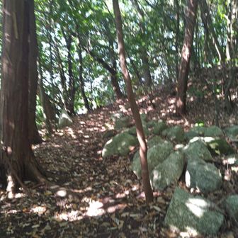 登山道…

まず、最初に、木の枝を拾って…
歩く前に振り回しながら…
クモの巣を払って…