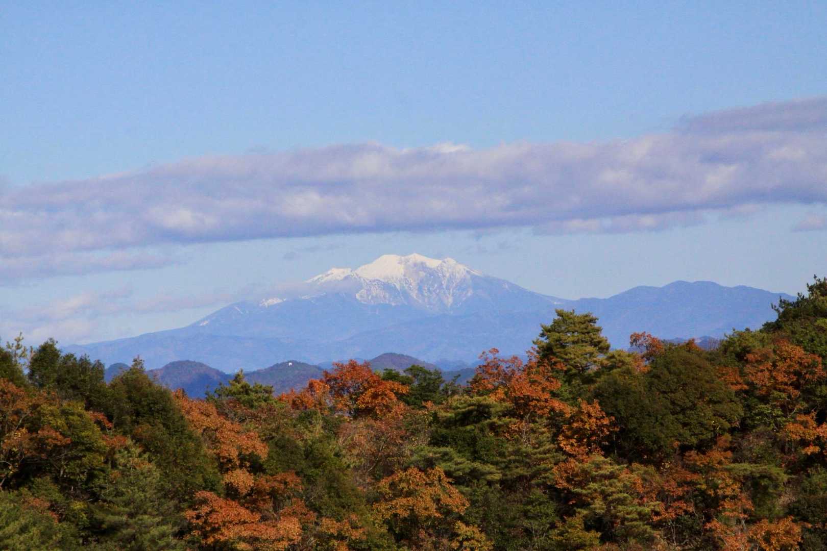 金山-岩坂峠-岩坂山-須衛山-向山 往復コースの写真