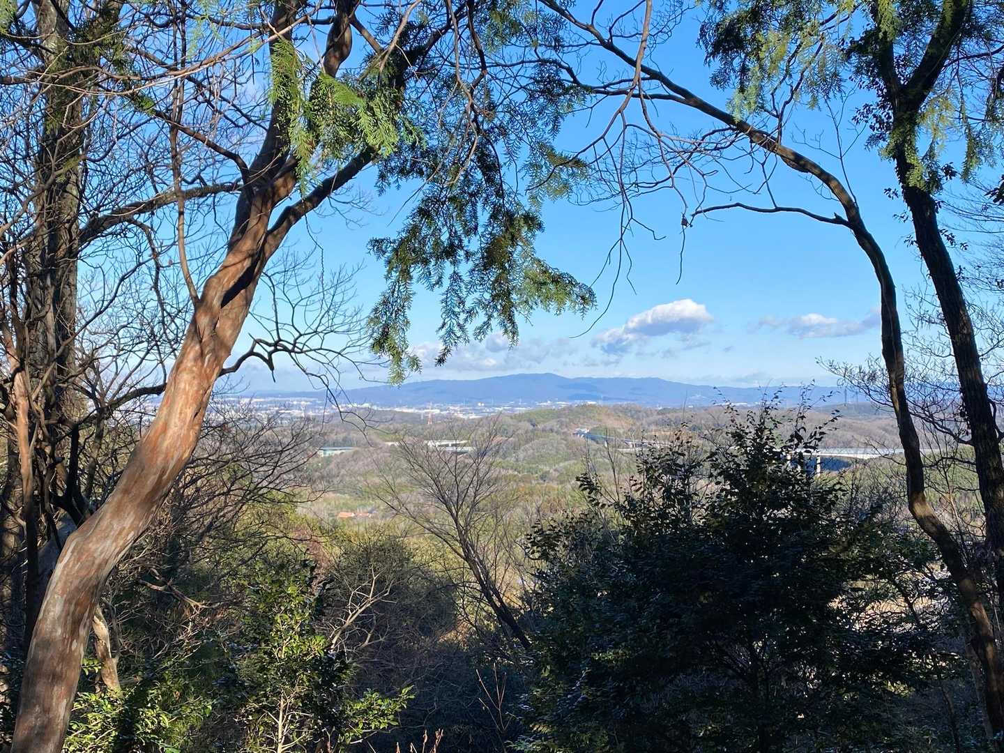 展望所からの猿投山🐒