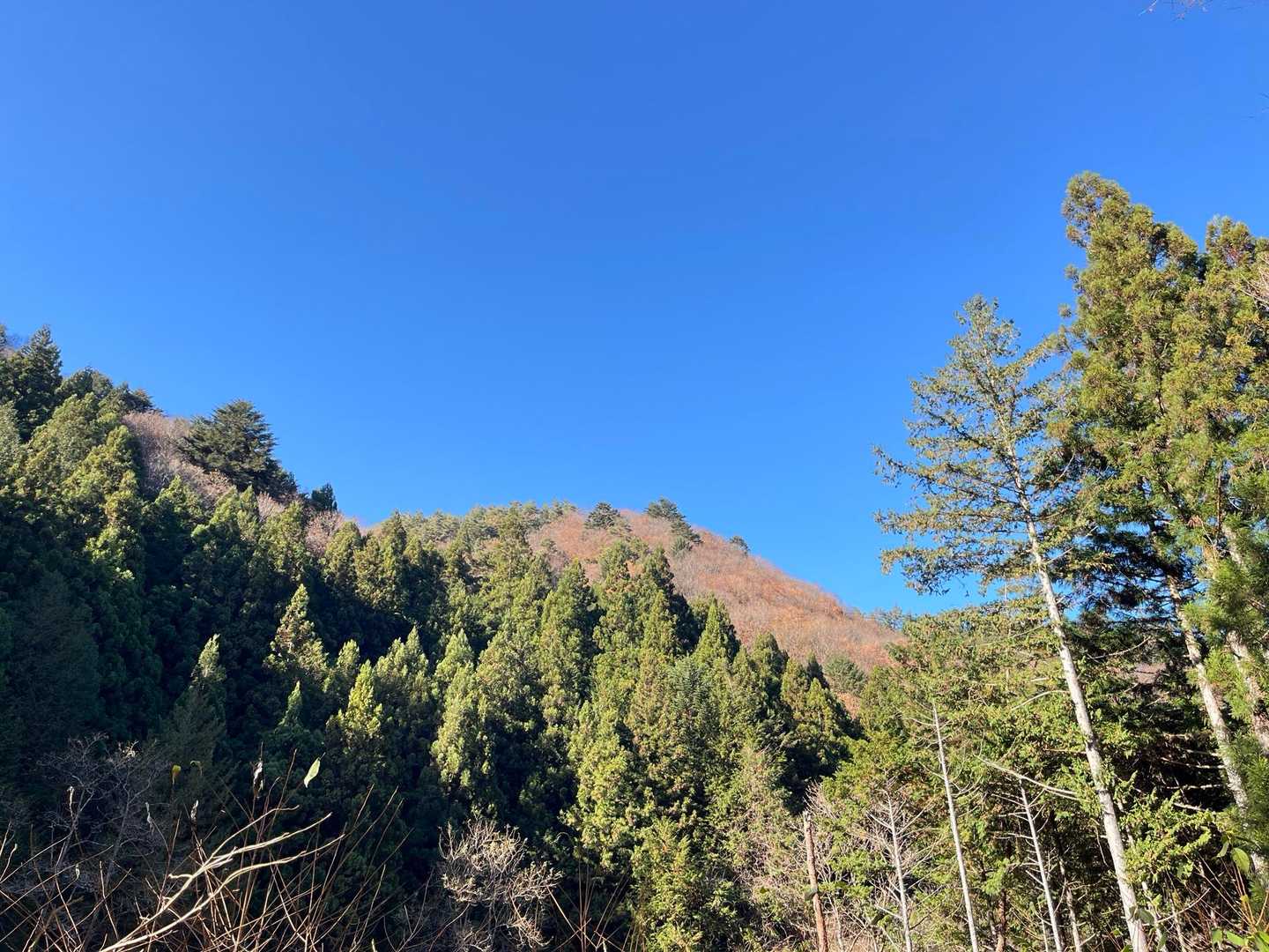 今日は本当に🟦空