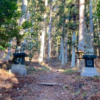 年始のお参り
ありがとうございます