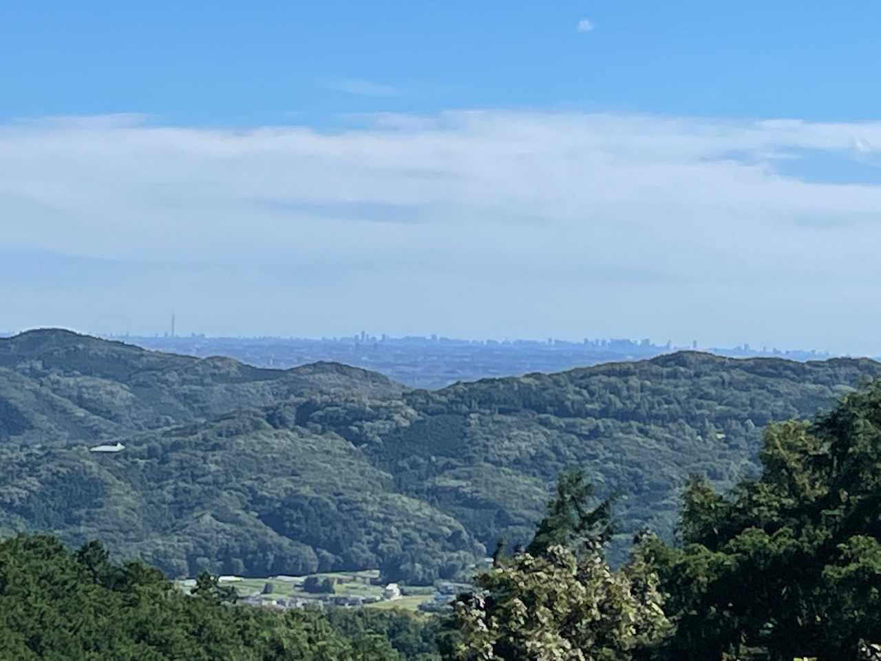 スカイツリーがくっきり