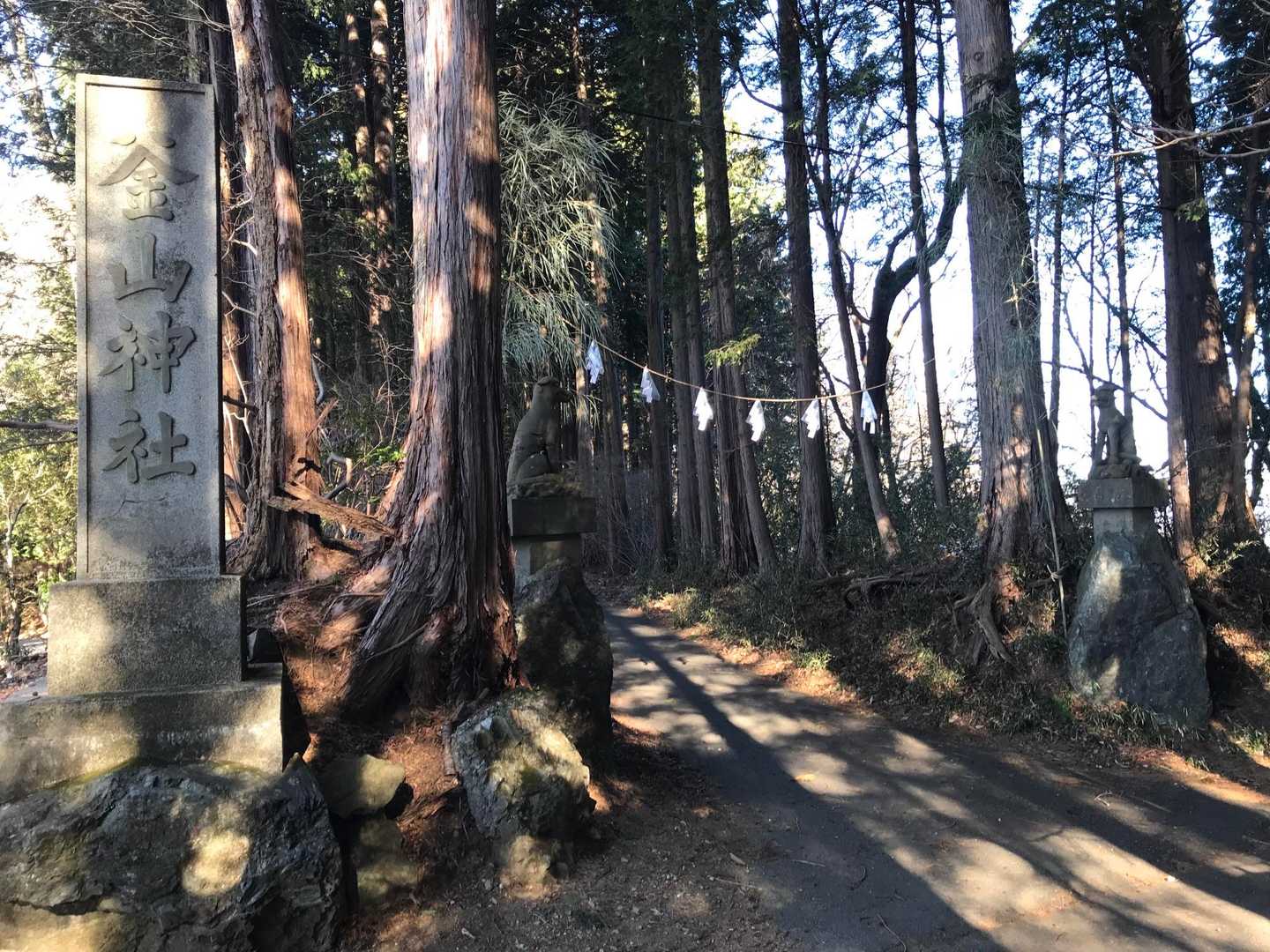 今年も宜しくお願いします