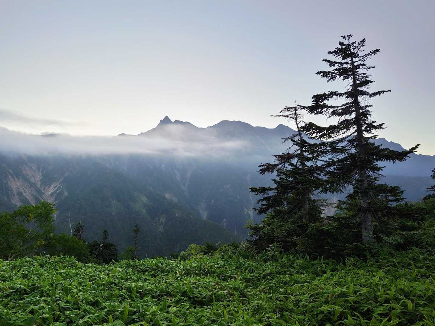 笠ヶ岳・双六岳・わさび平 登山道入口-笠新道登山口-小池新 往復コースの写真