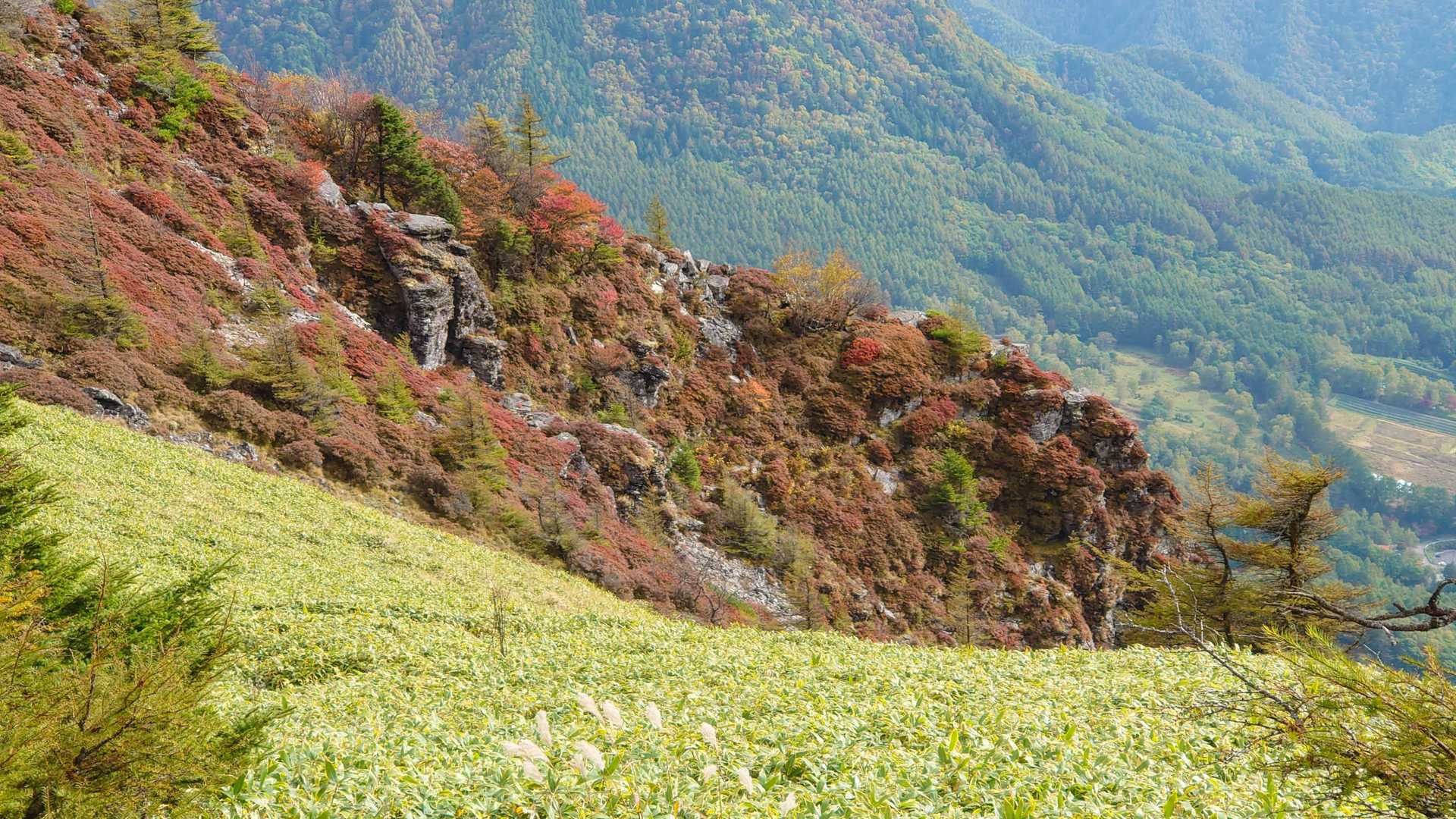 紅葉もイイ感じ