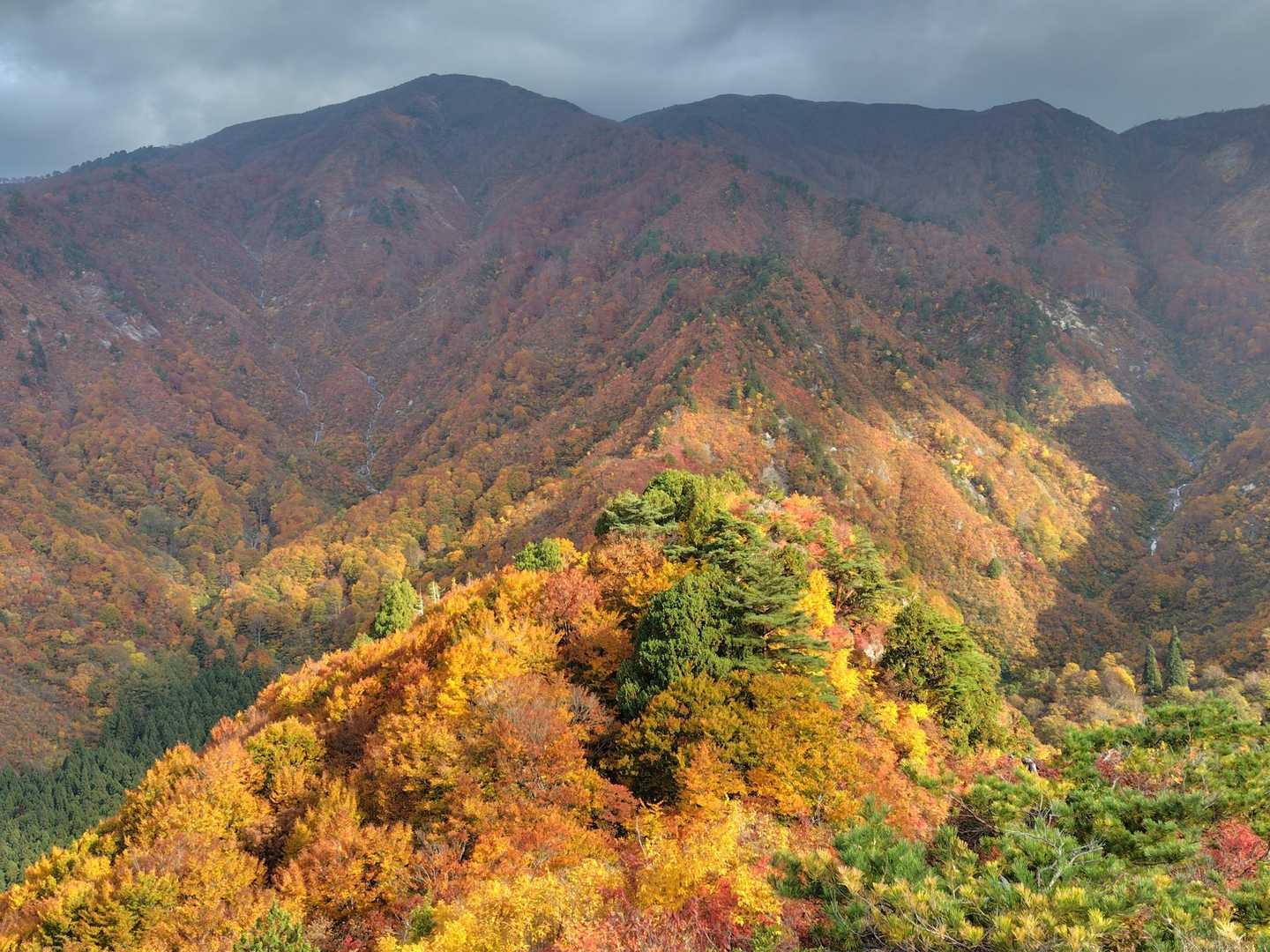 古峰山 往復コースの写真