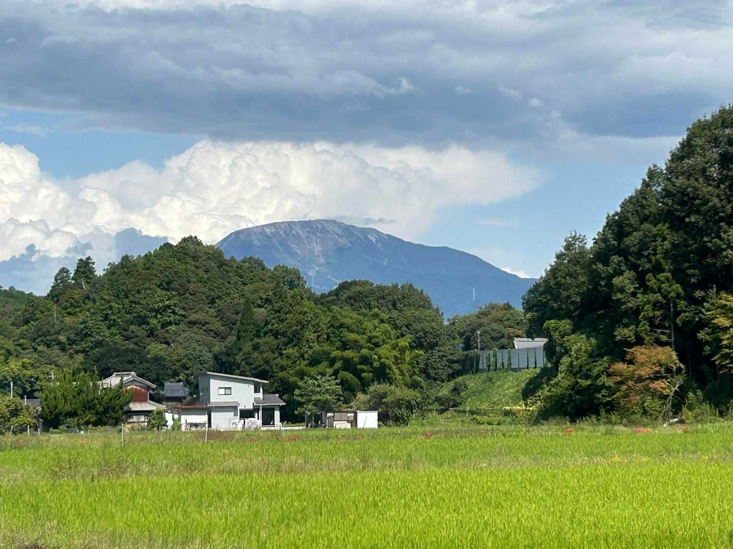 伊吹山ドーン　ん？🌧️大丈夫みたい？