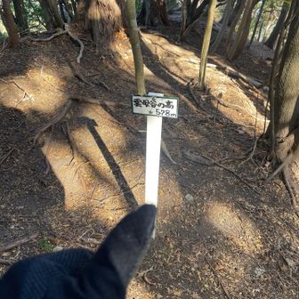 キララ到着👍
🍁はここまででした😊