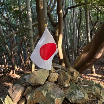 小さな🇯🇵可愛い