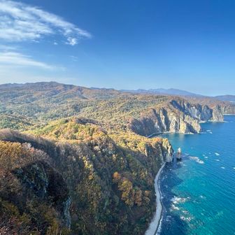 紅葉も綺麗で最高です