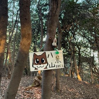 八景山で800座になりました🎉