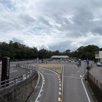 ドライブウェイ駐車場（車は少なめ💧）を経て