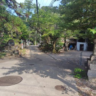 宝山寺にとうちゃく(⁠　⁠･⁠ω⁠･⁠)⁠
知らなかったんですが、かなり大きなお寺で麓には同じ名前の駅名もありました。(⁠　⁠･⁠ω⁠･⁠)⁠