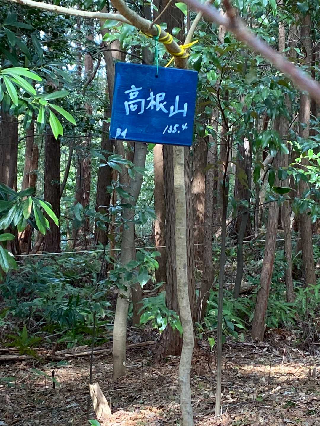 高根山（静岡県浜松市浜北区）の写真