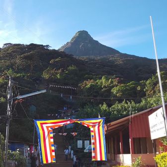 アールくにゃん