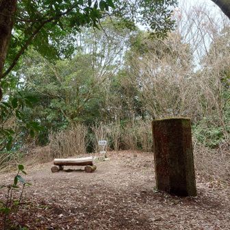 山頂に到着です。覚悟はしていましたが周囲を木で囲まれていて何も見えません。