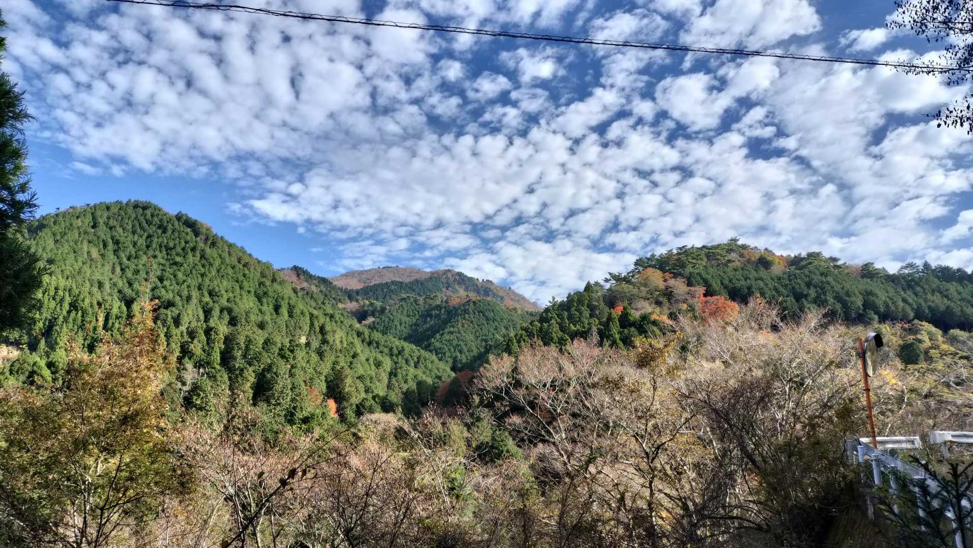 うんうん、良い感じ✨️