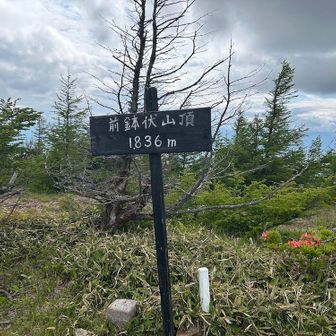 目立ったピークがない前鉢伏山。