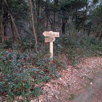 本宮山登山道に向います。