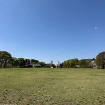 今日の青空とても綺麗🟦