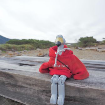 今回から旅のパートナーになったハシビロコウ