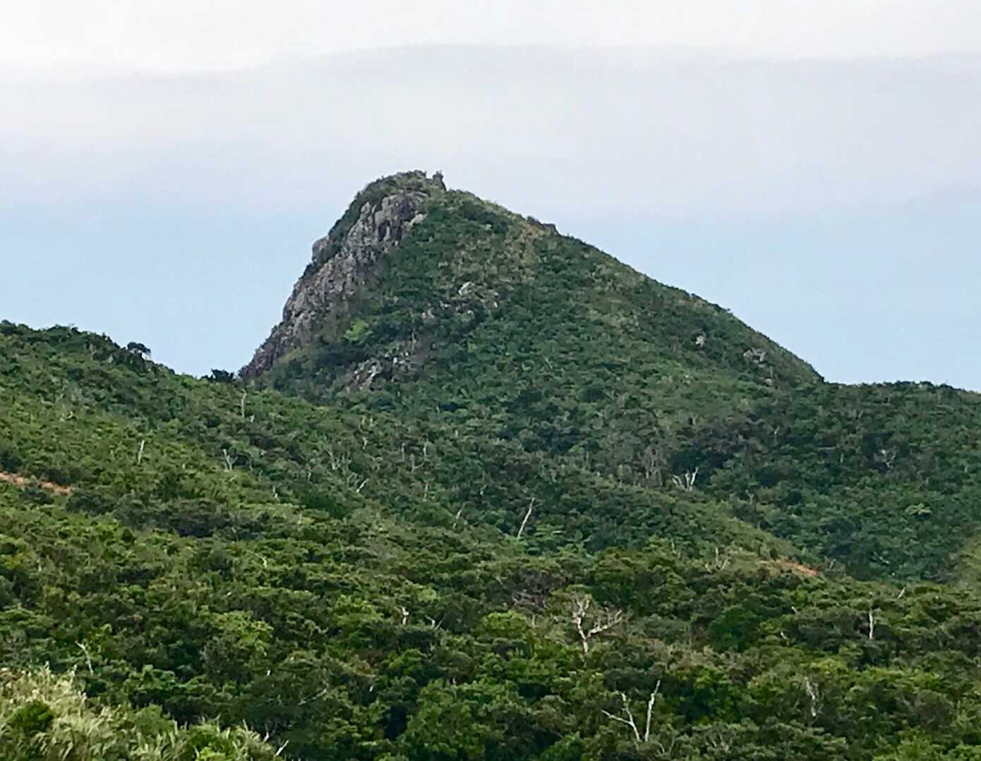 野底岳の写真