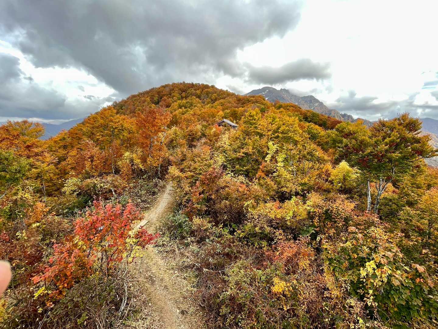 展望台からの🍁🍁