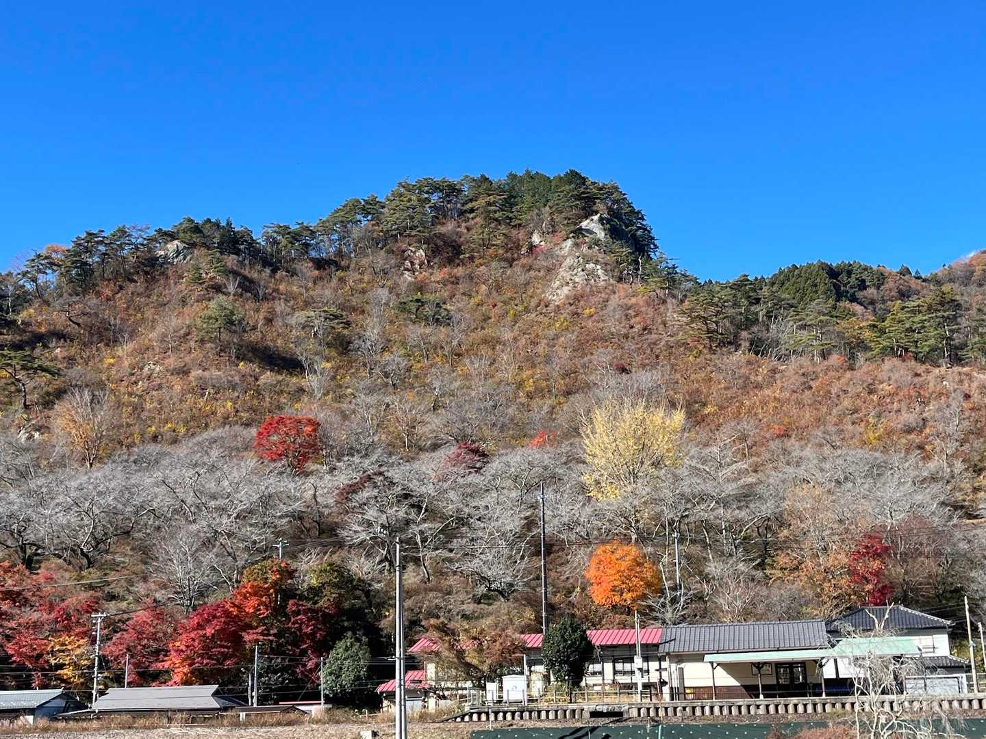 矢祭山はまた今度ね👋