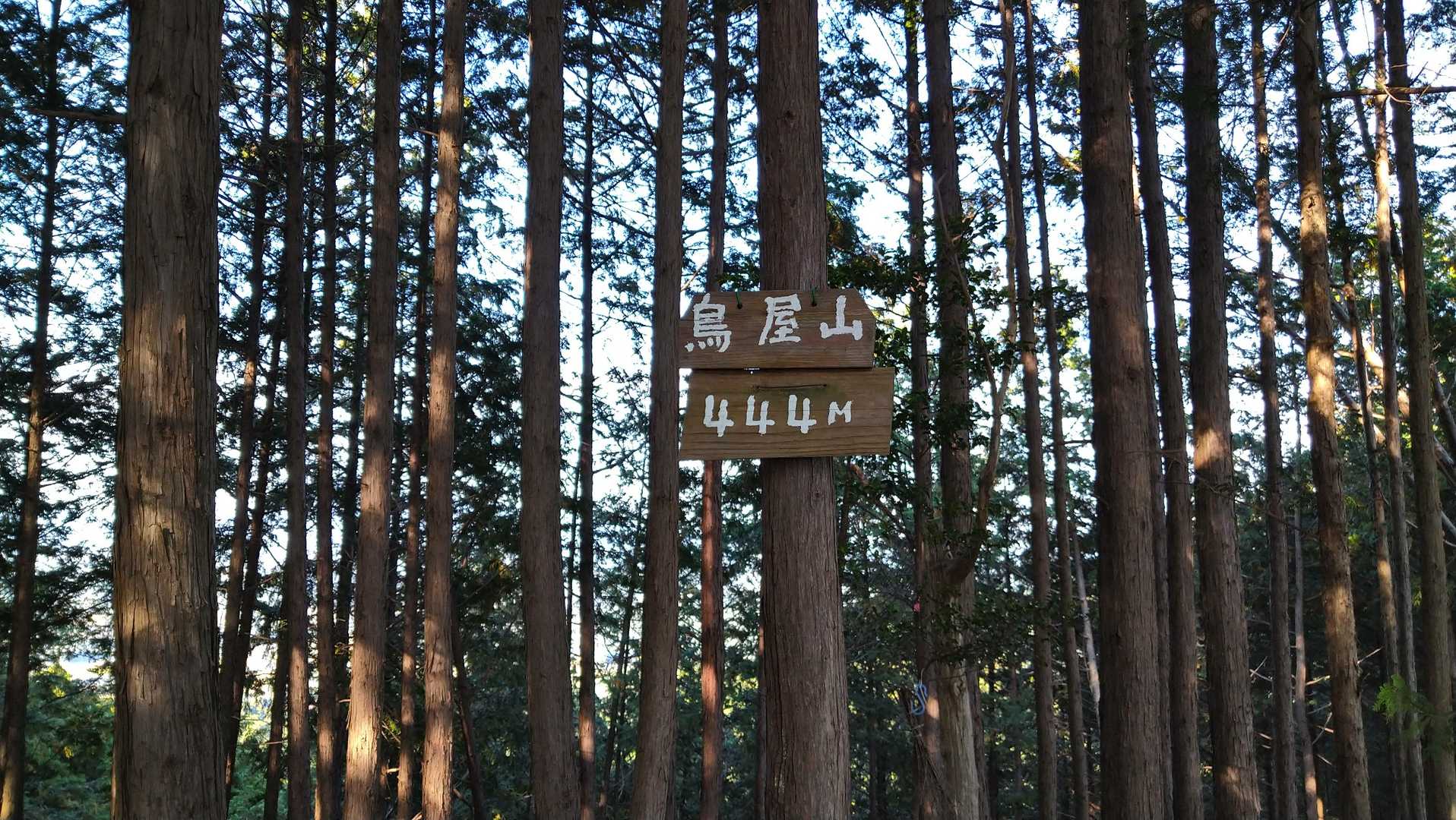 鳥屋山　トウチヤコ